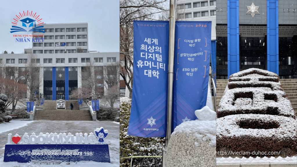 ĐẠI HỌC SOOKMYUNG 24 11 3